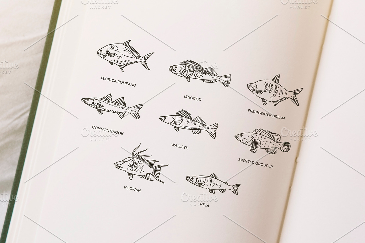 Set of vector outline fish icons, an Animal Illustration by Tettygreen (Photo 2 of 3)
