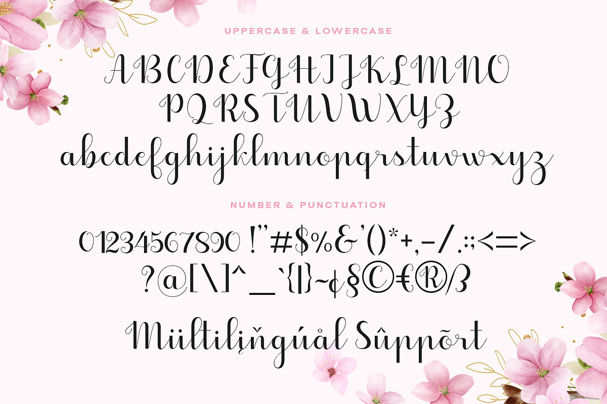 Heydan Script - a stylish fonts, a Script Font by Siwox Studios (Photo 6 of 8)