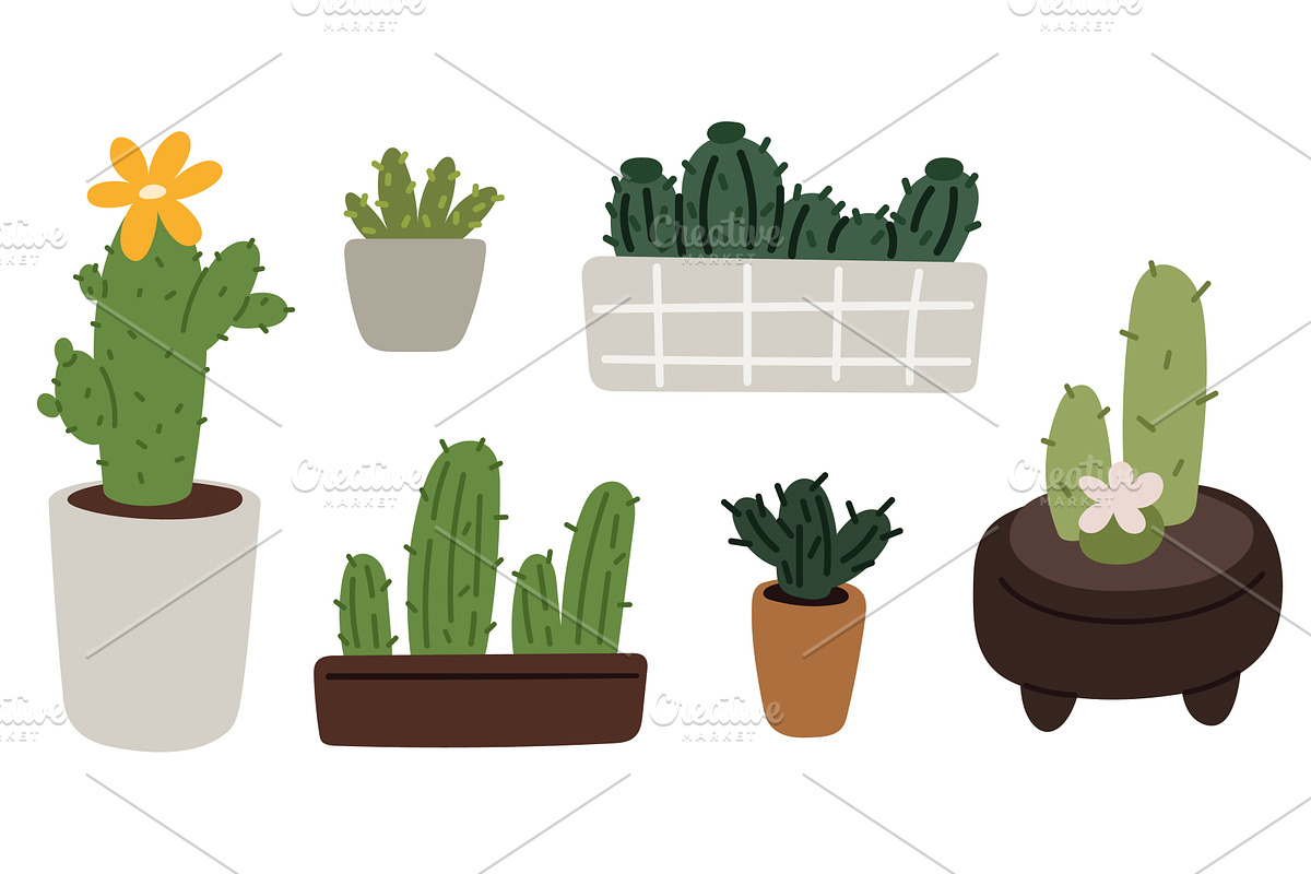 Variety of cacti with needles and, an Object Illustration by Vectorbuum