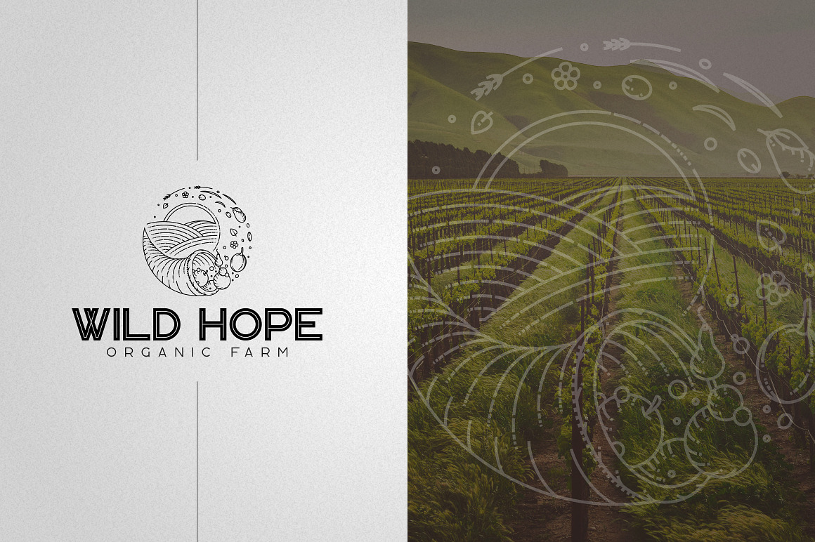 Kavo Font Bundle 17in1 + 24 logos, a Serif Font by VP Fonts (Photo 5 of 23)