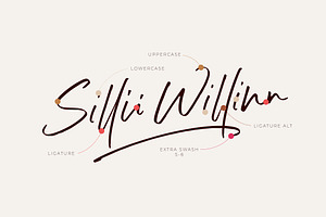 Sillii Willinn A Versatile Font