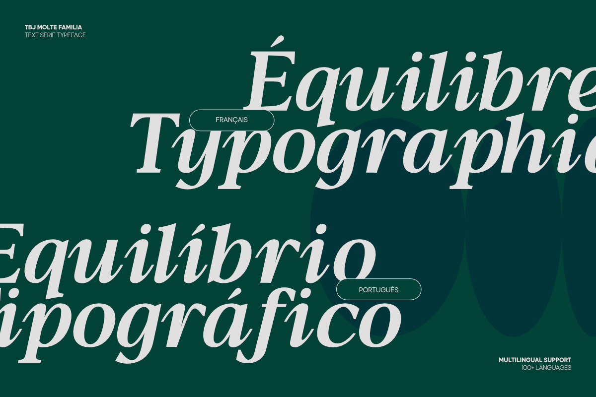 TBJ Moltefamilia Serif italic, a Serif Font by Taboja Studio (Photo 15 of 15)