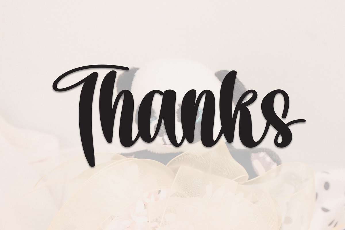 Rustic Panda | Script Font, a Handwritten Font by Scratchones (Photo 9 of 9)