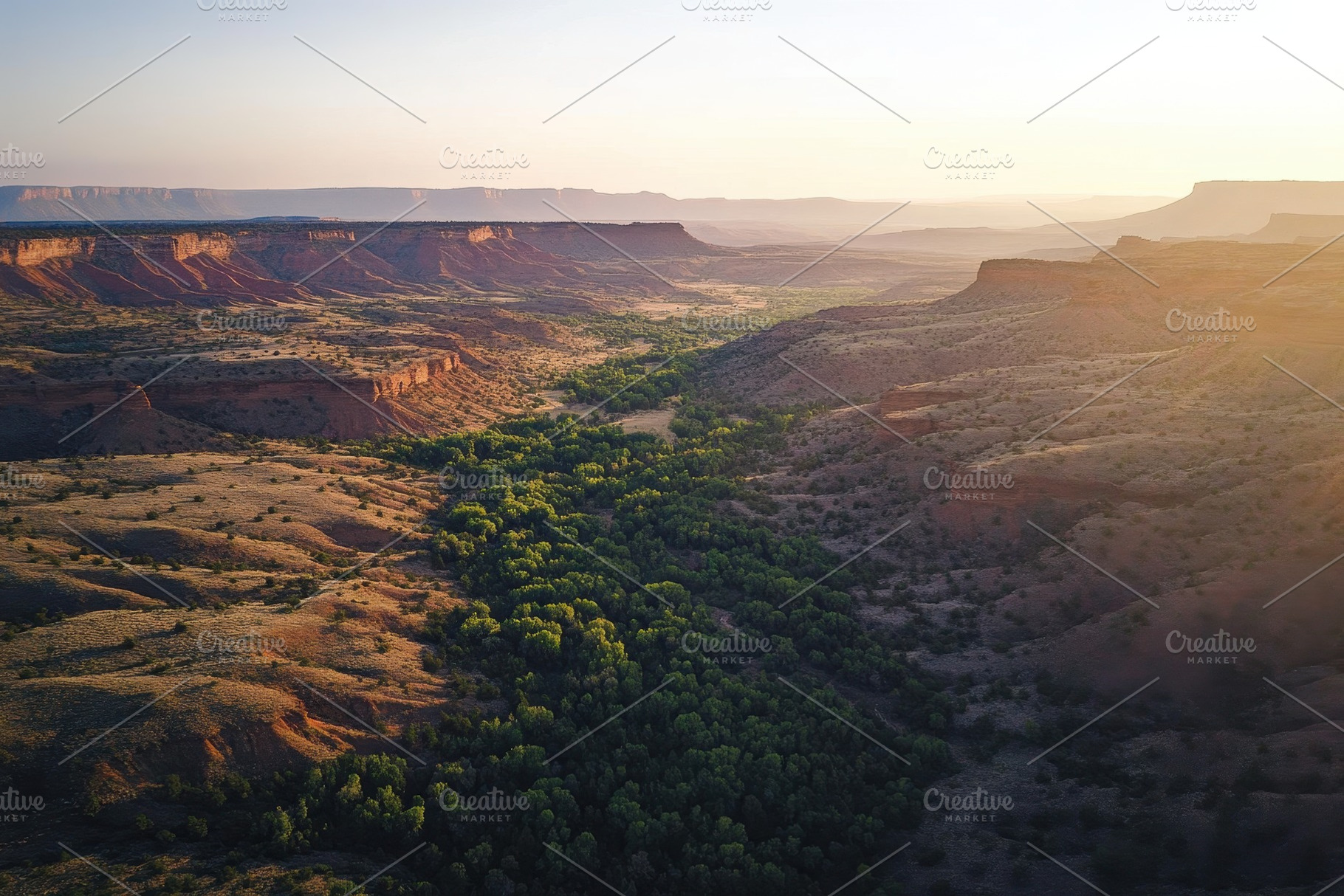 Canyon forest at dawn captures the s, a Photo by Iftikhar Alam