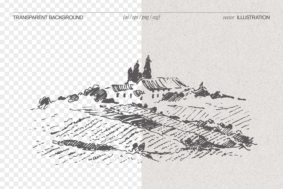 Vineyard drawings, a Decorative Illustration by TheMountBirdStudio (Photo 2 of 8)