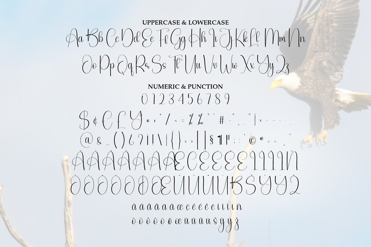 Eagle | Script Font, a Handwritten Font by Scratchones