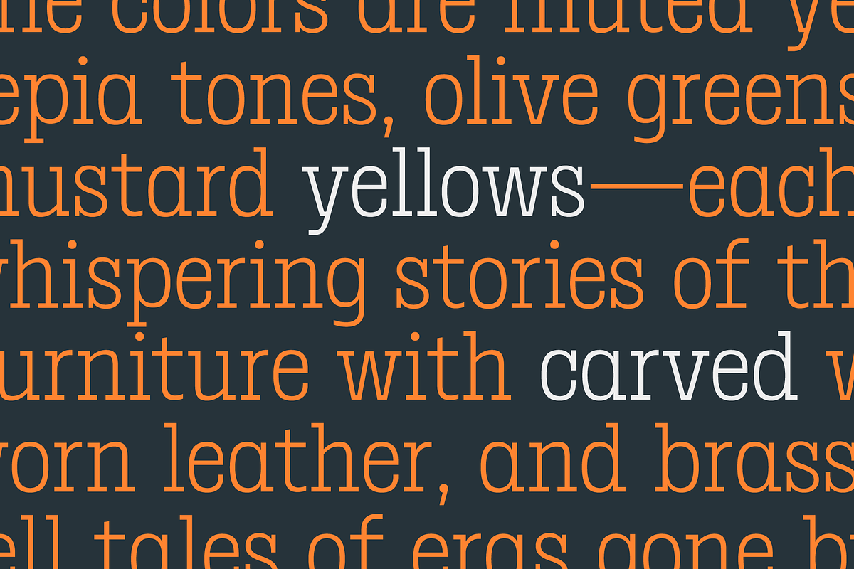 Birdwood; Condensed Slab Serif, a Slab Serif Font by Eko Bimantara (Photo 9 of 13)