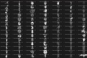 Bundle 3 Classic Character-Stamp Set, a Brush Add-On by LA Studio Sthlm (Thumbnail 13 of 17)