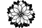 Round Floral Mandala Bundle, a Decorative Illustration by Designer_Momina (Thumbnail 7 of 19)