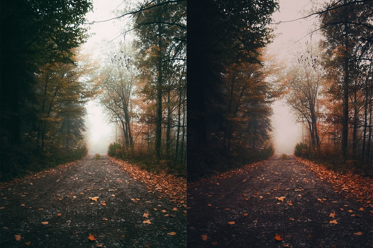 Fall - Autmun Photoshop Actions, an Action Add-On by Bato (Photo 6 of 10)