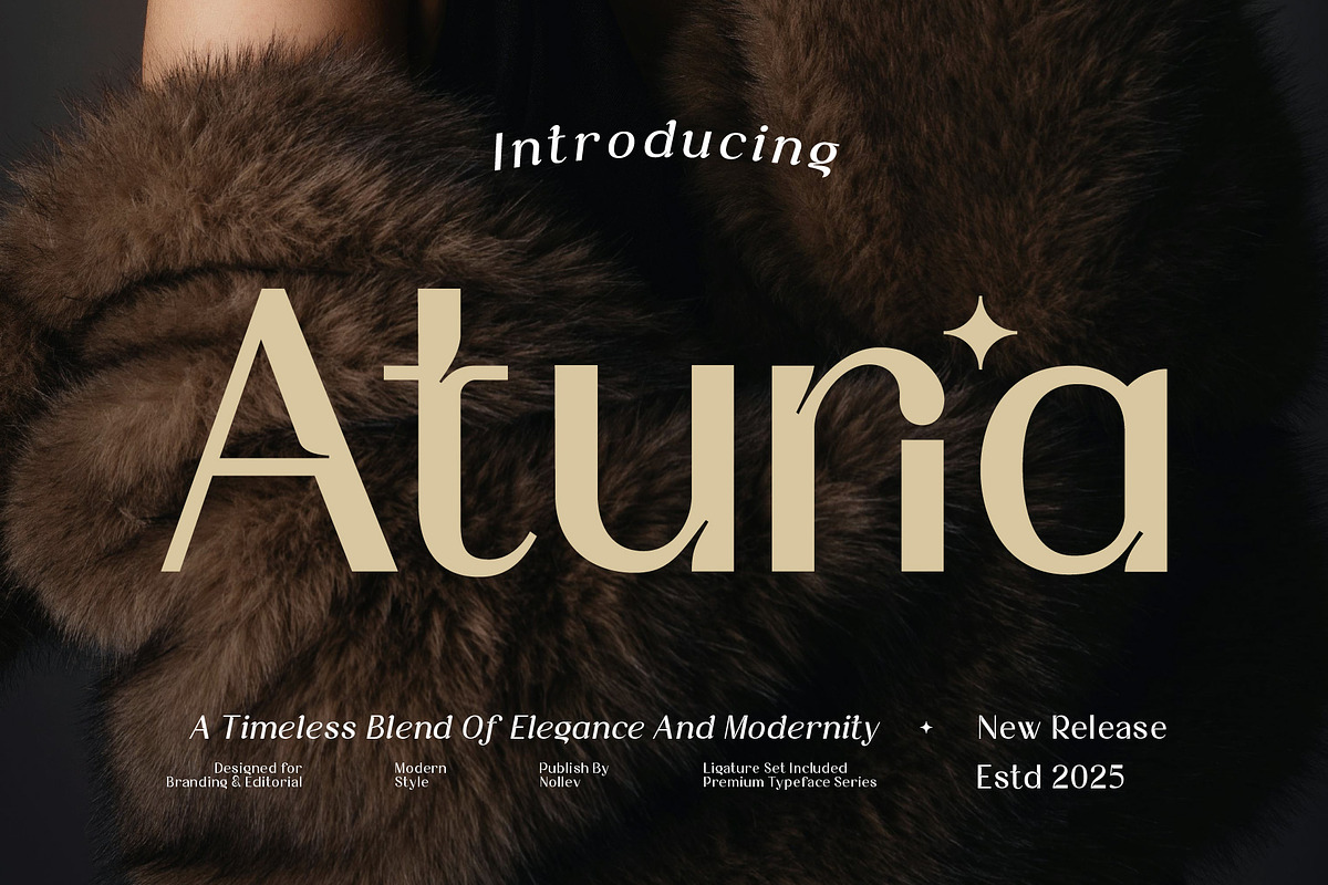 Aturia — High-contrast sans serif, a Sans Serif Font by Nollev (Photo 1 of 12)