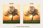 Wood Texture Overlays, a Texture Graphic by Brian Ritter Design (Thumbnail 4 of 11)