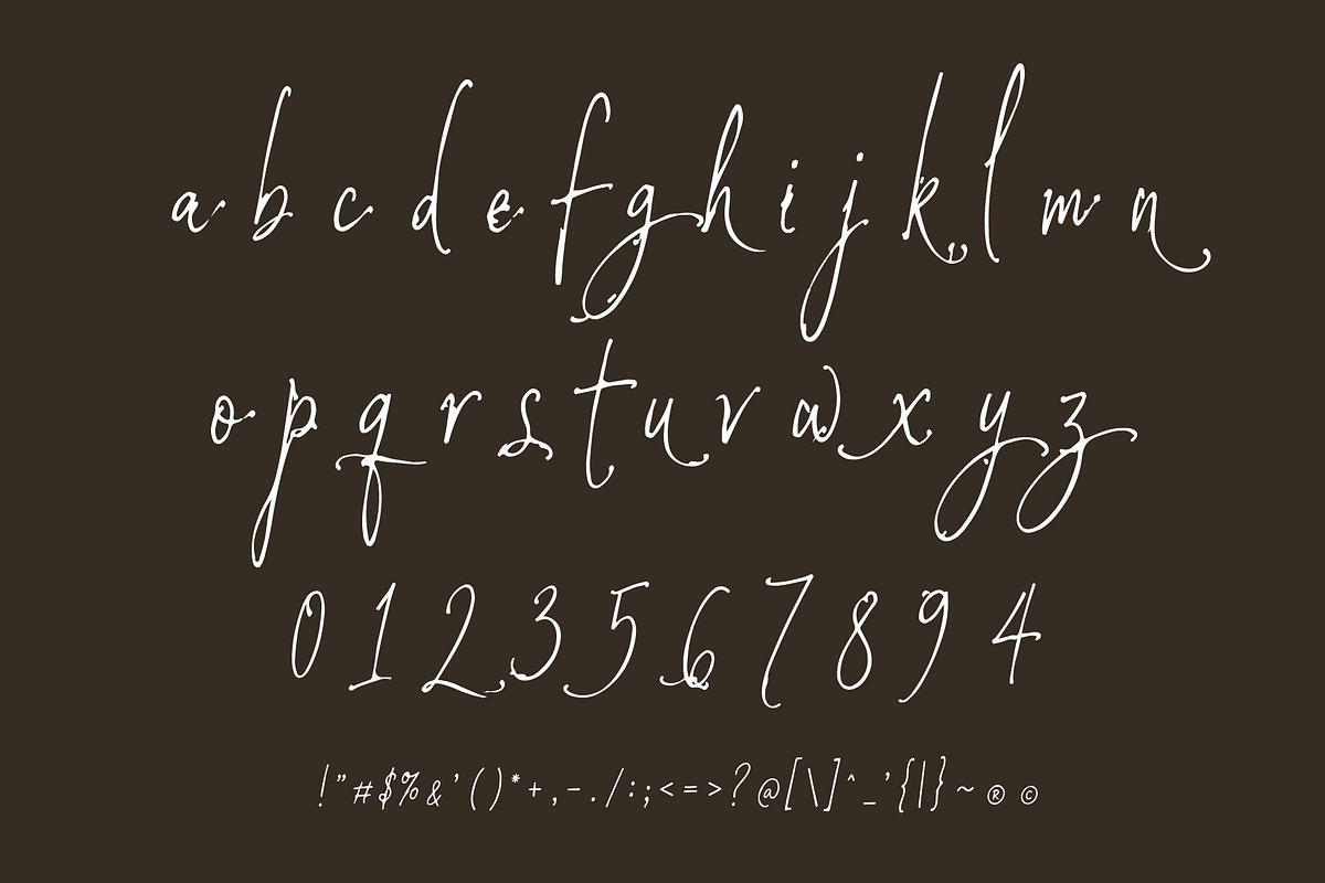 BandaMoons expressive signature font, a Script Font by HypeWorksCo (Photo 15 of 15)