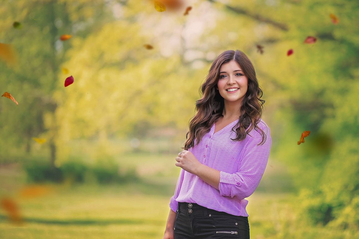 Leaf Overlays - Autumn Splender preview 3