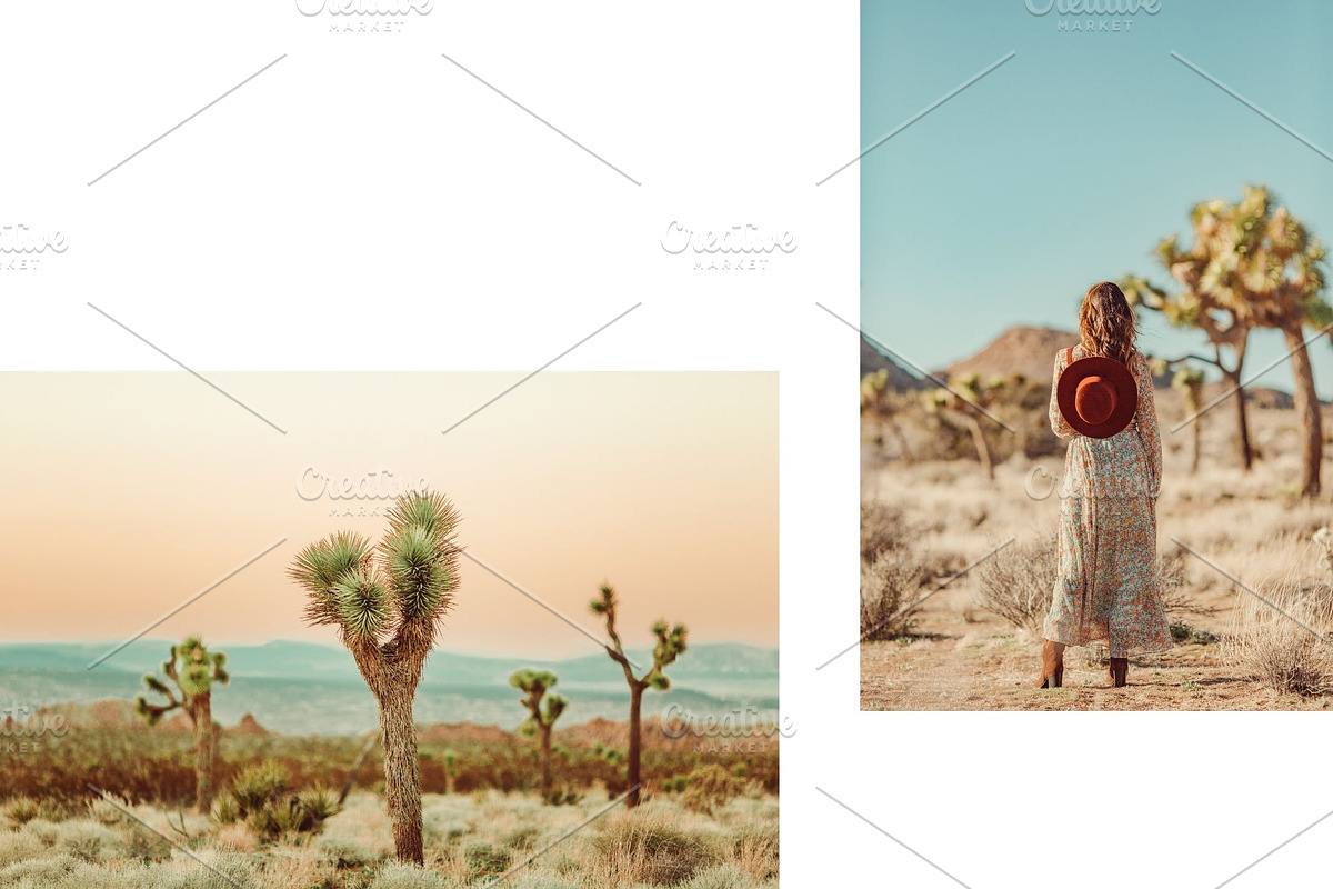 Joshua Tree Desert Wall Art, a Background Photo by Munopia (Photo 5 of 10)