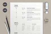 Resume Arton, a Resume Template by sz81 (Thumbnail 2 of 5)