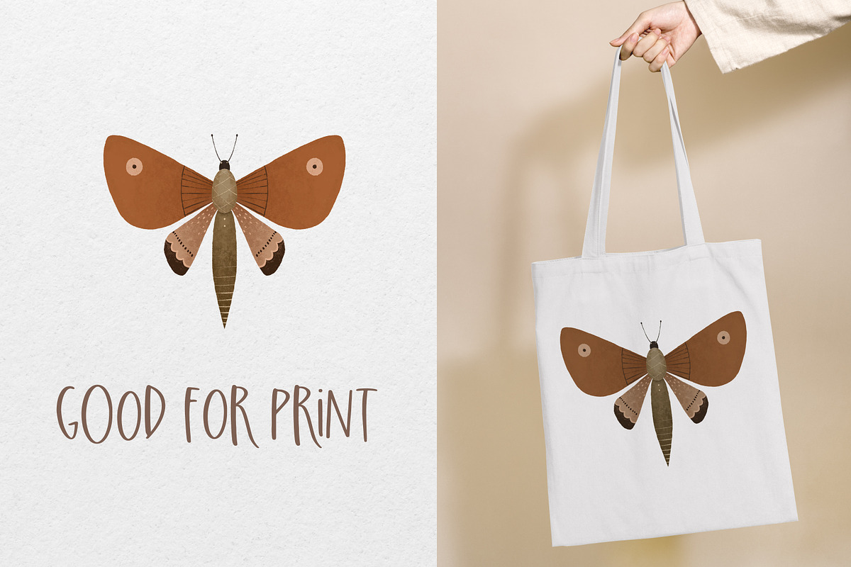 Hand-drawn Butterfly & Moon Moth, an Animal Illustration by the_myro (Photo 5 of 5)