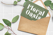 Forest Sunrise Bold Display Serif, a Serif Font by timelesstype.co (Thumbnail 6 of 20)