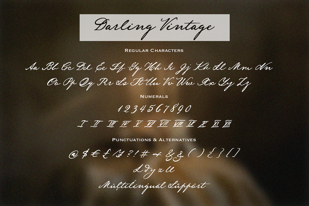 Darling Vintage Handwritten Font, a Script Font by Calamar Studio (Photo 14 of 15)
