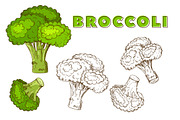Vegetables in the Vintage Style, a Healthcare Illustration by Alfazet Chronicles (Thumbnail 15 of 15)