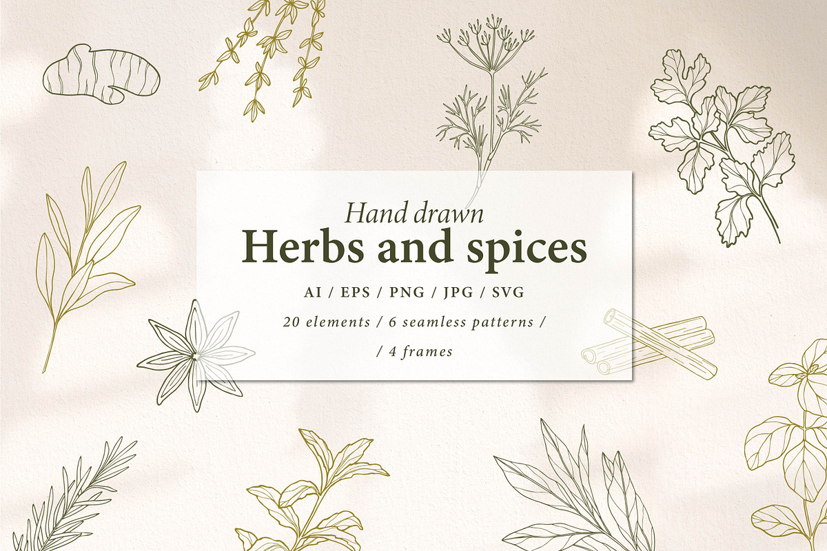 Hand drawn herbs and spices, an Object Illustration by RaDavCrafts (Photo 1 of 7)