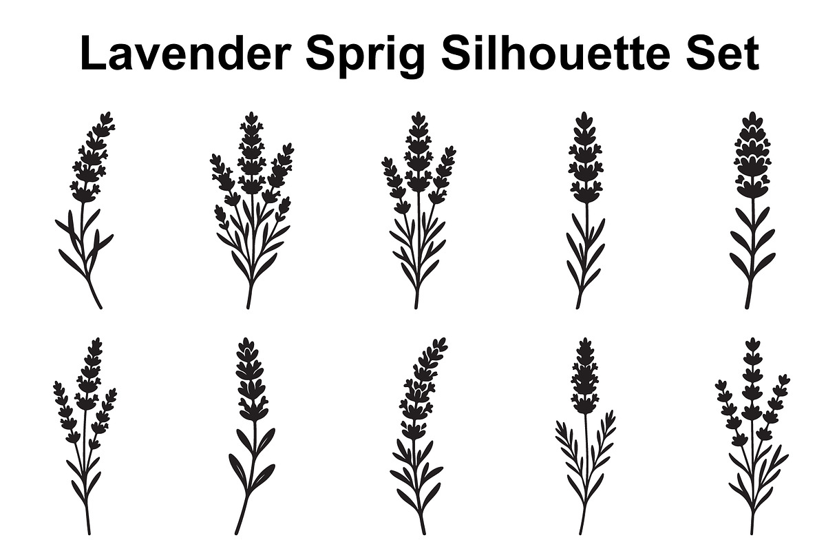 Lavender Flower Silhouette Set, an Object Graphic by Designer_Momina (Photo 1 of 3)