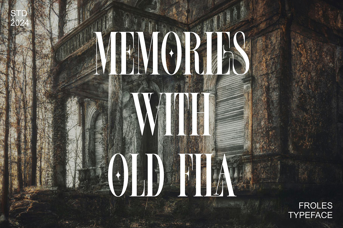 FROLES Modern Serif Font, a Serif Font by Alfinart (Photo 5 of 9)