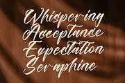 Players Climber Modern Handwritten, a Script Font by stylishtype.co (Thumbnail 7 of 20)