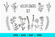 Wildflowers Vector Clip Art, a Decorative Illustration by Elena Nesterova (Thumbnail 1 of 4)