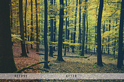 Forest Tone Lightroom Presets, an Action Add-On by N A N D U Z D E S I G N (Thumbnail 7 of 10)