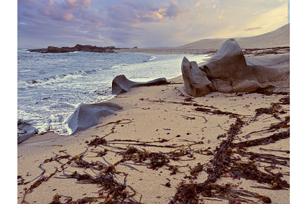 Rocky Beach at Sunset with Seaweed, a Nature Photo by tilialucida