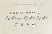 Bluesty | Classy Italic, a Script Font by Ef Studio (Thumbnail 12 of 15)