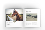 Multipurpose Square Clean Brochure, a Brochure Template by Incools Stokie (Thumbnail 6 of 14)