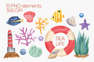 Cute sealife watercolor clipart png