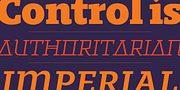 Regime, a Slab Serif Font by Barnbrook Fonts (Thumbnail 5 of 7)