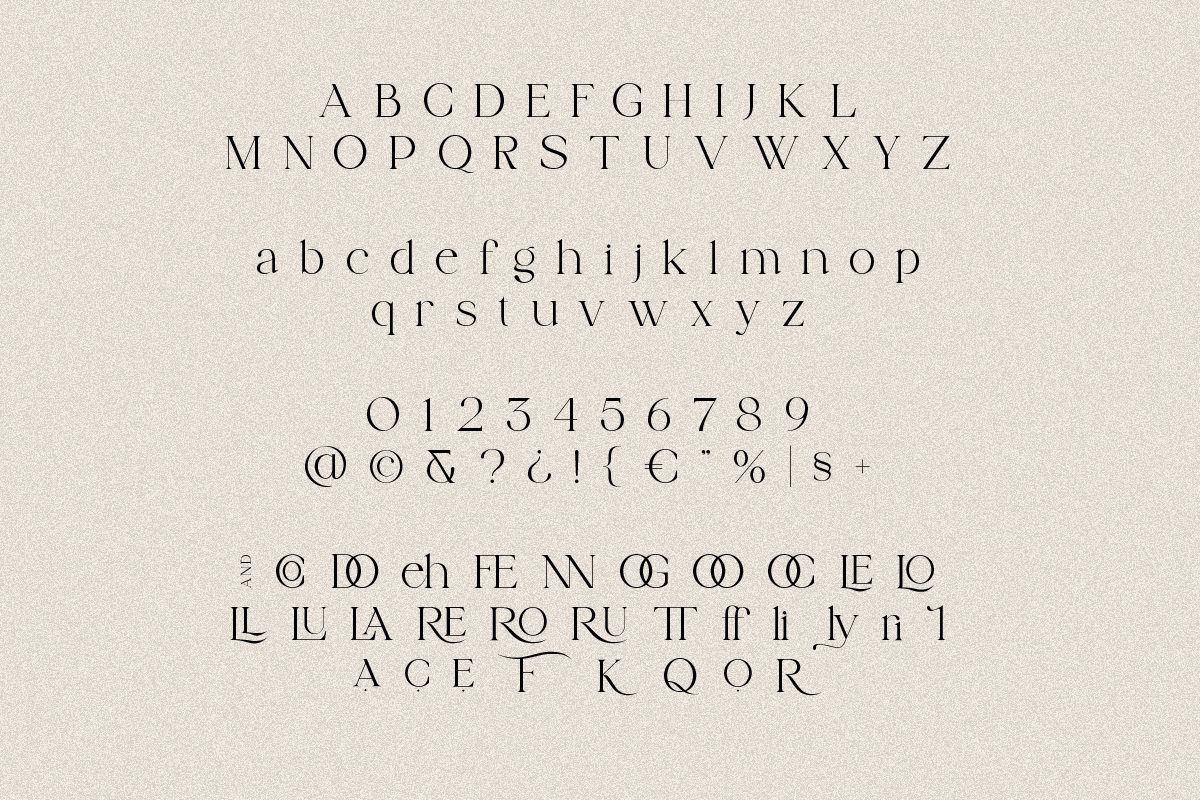Cotton Kindly - Modern Serif Font, a Serif Font by ClevUs (Photo 11 of 12)