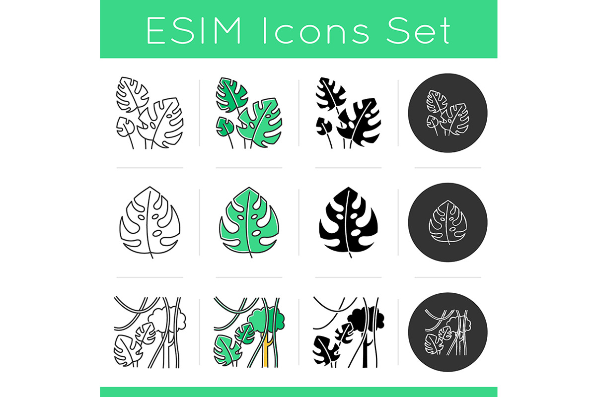 Rainforest plants icons set, an Outline Icon by IMG Visuals