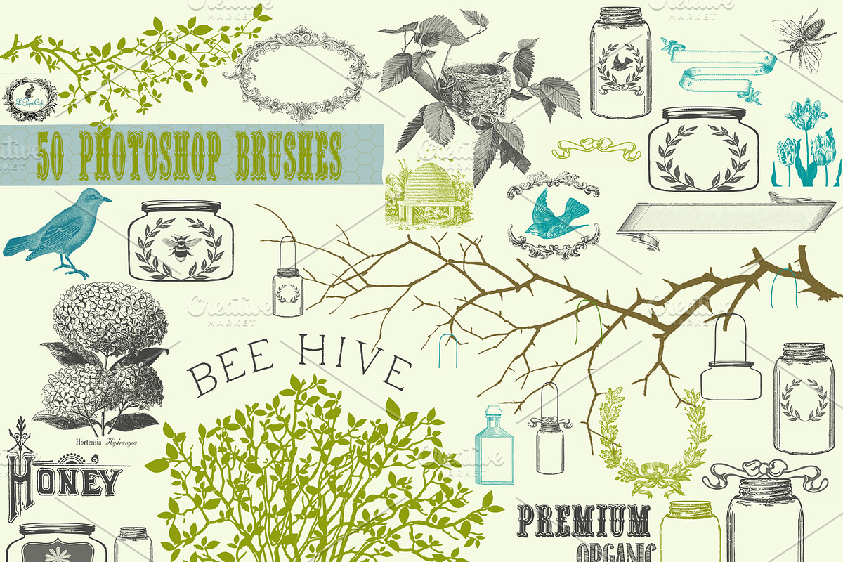 Certified Organic Clipart & Brushes preview 3