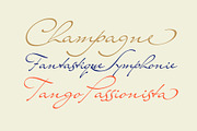 Mr Lackboughs Pro, a Script Font by Sudtipos (Thumbnail 2 of 5)