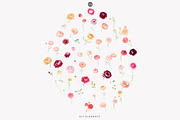 watercolor ranunculus clipart set, a Decorative Illustration by Patishop Art (Thumbnail 10 of 10)
