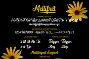 Mellifret script font, a Script Font by Java pep (Thumbnail 11 of 11)