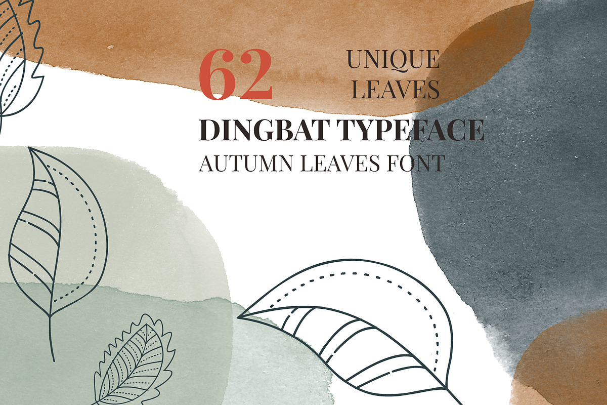 Autumn Leaves Dingbats Font, a Symbol Font by Minimalartstudio (Photo 3 of 3)
