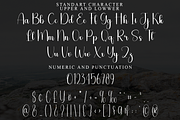 Farmhouse, a Handwritten Font by FreshTypeINK (Thumbnail 6 of 8)