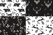 Wild forest. Vector collection, an Animal Illustration by Nadia Murash (Thumbnail 4 of 7)