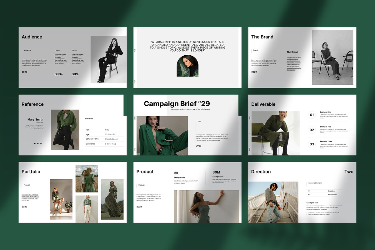 Brief Campaign Presentation Template, a Presentation Template by slidestock55 (Photo 8 of 9)