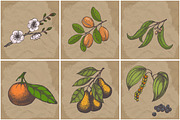Hand drawn vector plants, a Food Illustration by SHom (Thumbnail 11 of 17)