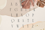 Carola | Modern Serif, a Serif Font by Muntab_Art (Thumbnail 9 of 10)