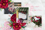 Watercolor peony flower, an Illustration by MiraEl Art (Thumbnail 14 of 15)