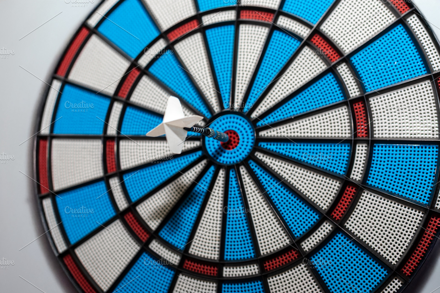 Close-up of a white dart perfectly hitting the bullseye on a col, an Animal Photo by Ales Munt