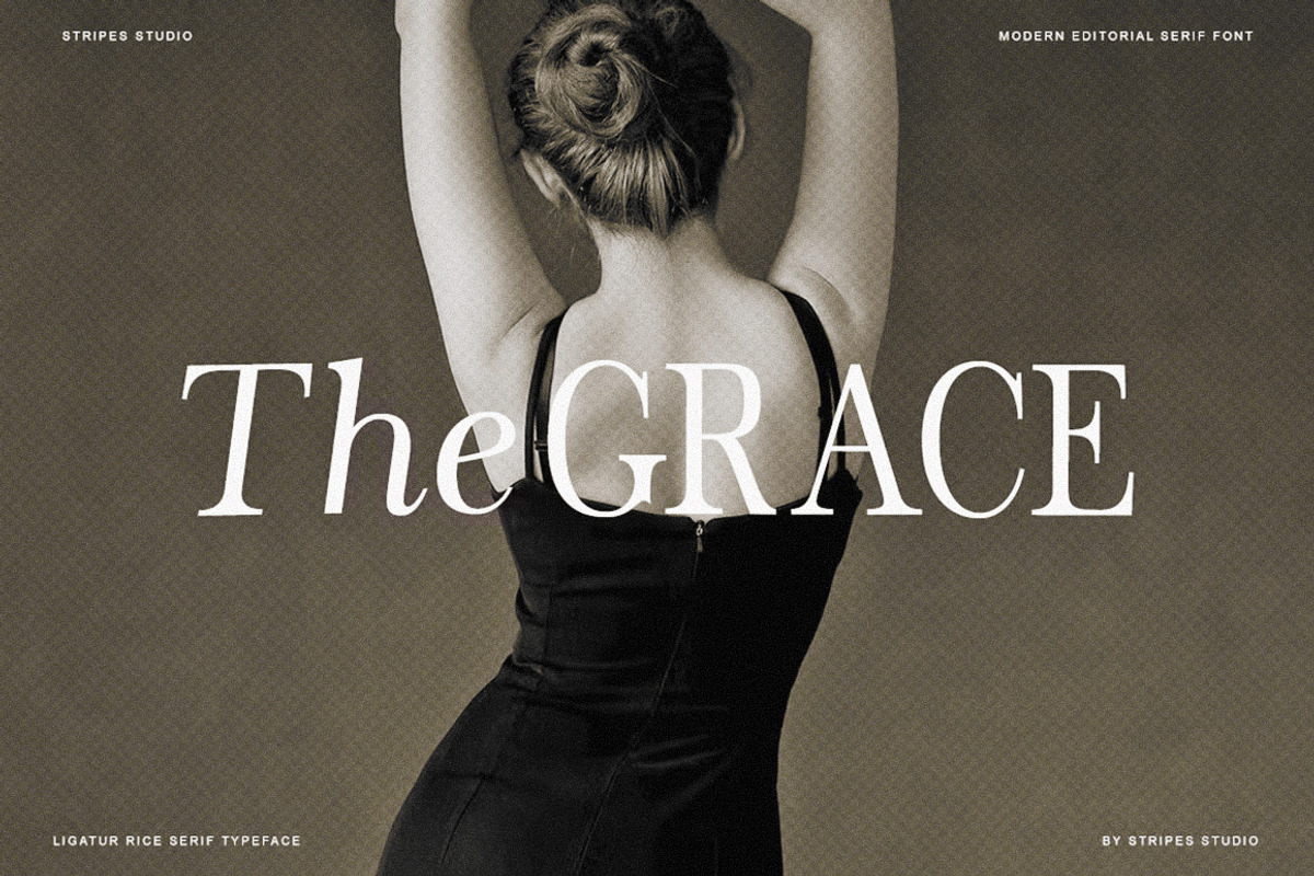 The Stripes Editorial + Italics, a Serif Font by Stripes Studio (Photo 16 of 23)